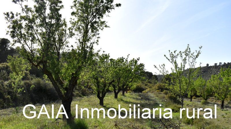 Foto 66fff48d-de90-4679-b97c-d75f8a149d66. Finca rústica a Maella