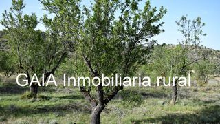 Finca rústica a Maella