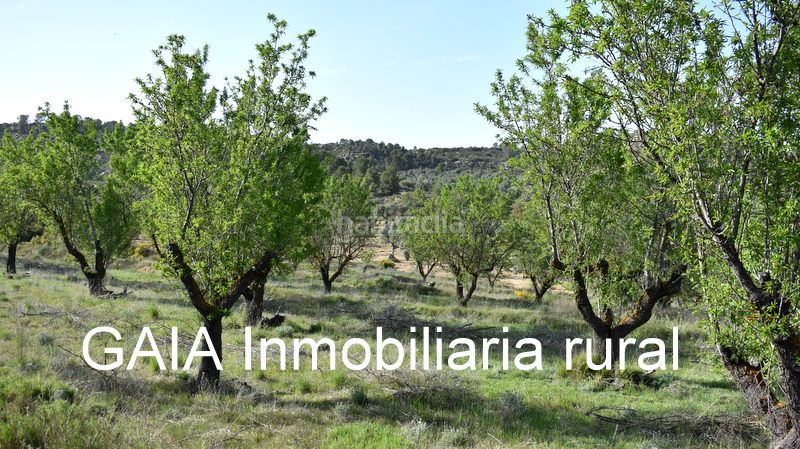 Foto b1c39310-0298-4975-ac08-51022d6e3dc8. Finca rústica a Maella