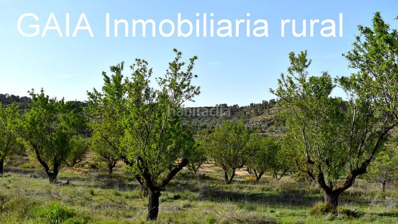 Foto d8eb1ff2-2b88-4348-9c03-df43c18b08ab. Finca rústica a Maella