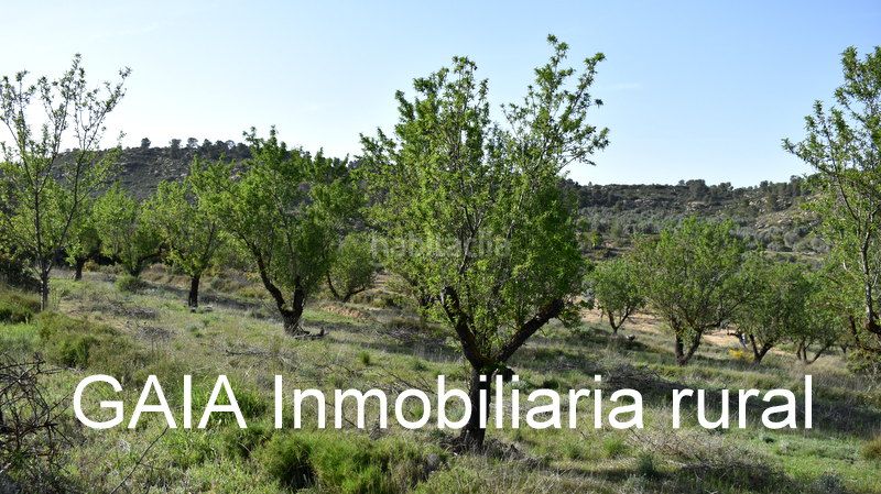 Foto f45ace07-0aca-46c6-9ef1-6495ce0c390f. Finca rústica a Maella