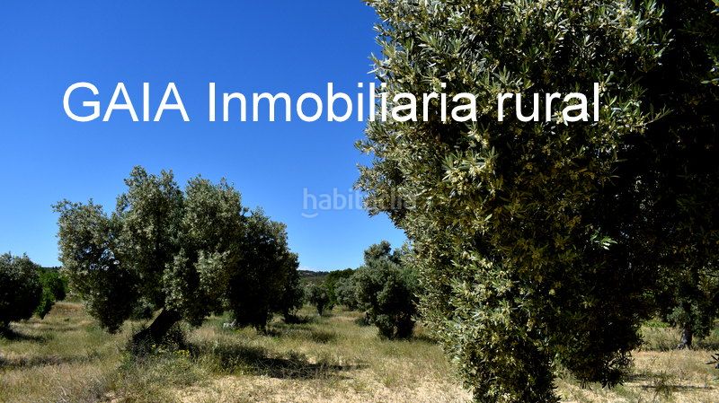 Foto 12556372-6a4c-4944-a786-02cd22a221f4. Masia a Maella