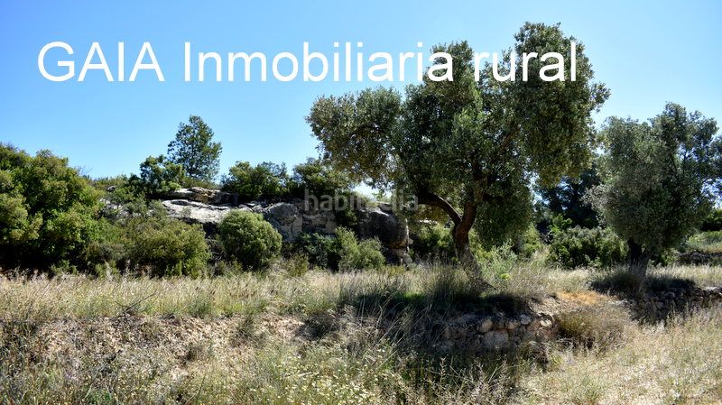 Foto 2414a9d5-0081-4b71-bd42-9a817e7fe23a. Masia a Maella