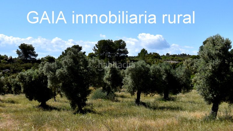 Foto 57401d11-b00f-4a20-b588-05c29b41d56d. Masia a Maella