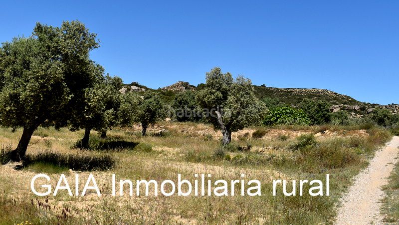 Foto 6e9e79a5-1203-4eaa-b86e-9aac7be02a4c. Masia a Maella