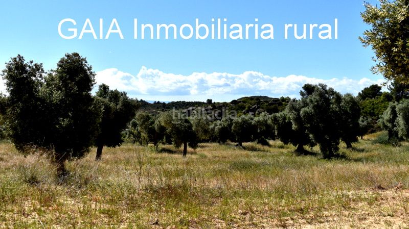 Foto a6455613-ca4d-4a54-a223-8139ee0edf2f. Masia a Maella
