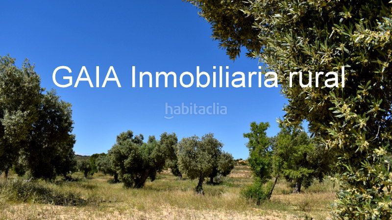 Foto c69fcfa1-778c-4dcf-b82d-58612c9a22b7. Masia a Maella