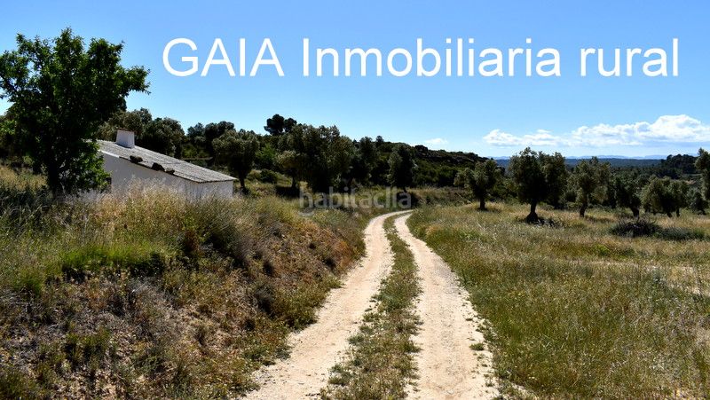 Foto f7b85345-c879-4c10-bb5f-335edd2b7e48. Masia a Maella