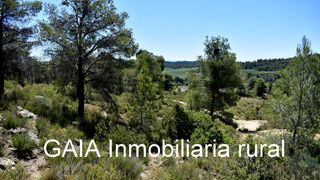 Casale in Batea
