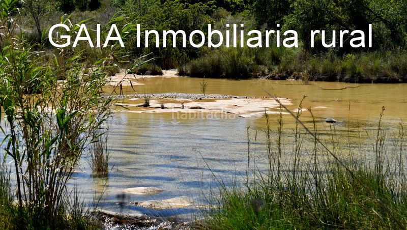 Foto 0f9ef8c4-0341-4c77-9495-f01df2c1344a. Mas dans Batea