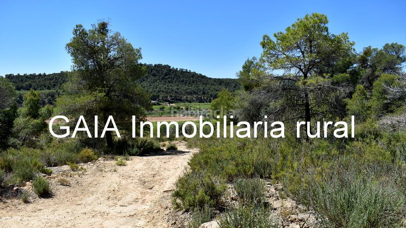 Foto c84a1603-ff67-4e44-bd32-08c3ddcf492c. Mas dans Batea