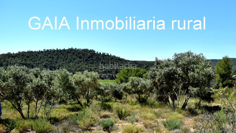 Foto f03fe133-faeb-4b1e-a94c-c092aab8ea82. Mas dans Batea