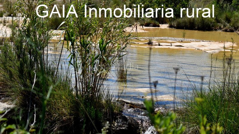 Foto ffa90f6f-a2a8-4a6d-8d01-dd6a50dd7eb4. Mas dans Batea