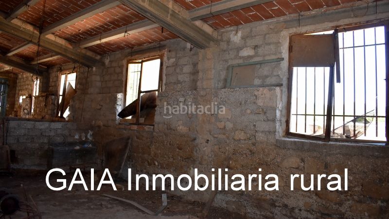 Foto 5f59d06b-b6d0-48e7-9418-60fb28aa78c2. Mas dans Maella