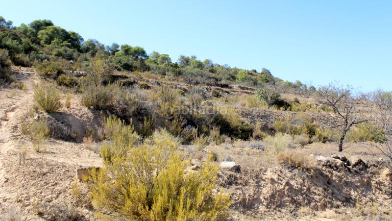 Foto a4a43fa5-c452-4ded-bf3b-e0f62b1fad78. Finca rústica a Maella