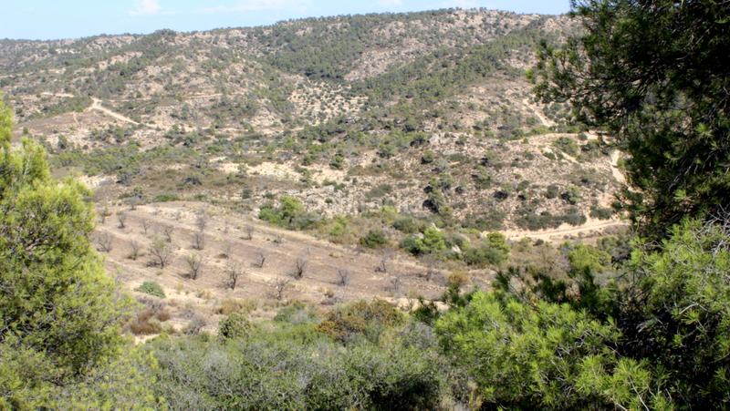 Foto ac8d3f8f-d43a-4a65-b0ad-b00bee2482a0. Finca rústica a Maella