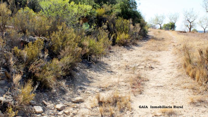 Foto afbdd361-68d0-4168-a5d5-d54a32d57132. Finca rústica a Maella