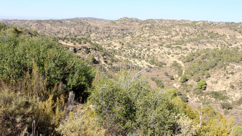 Foto d162cff0-663c-4927-b1aa-644de97898fc. Finca rústica a Maella