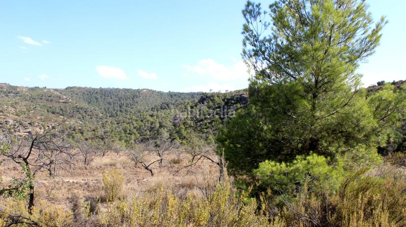 Foto f9d100f4-4154-45e4-b71f-49e4a0a3a553. Finca rústica a Maella