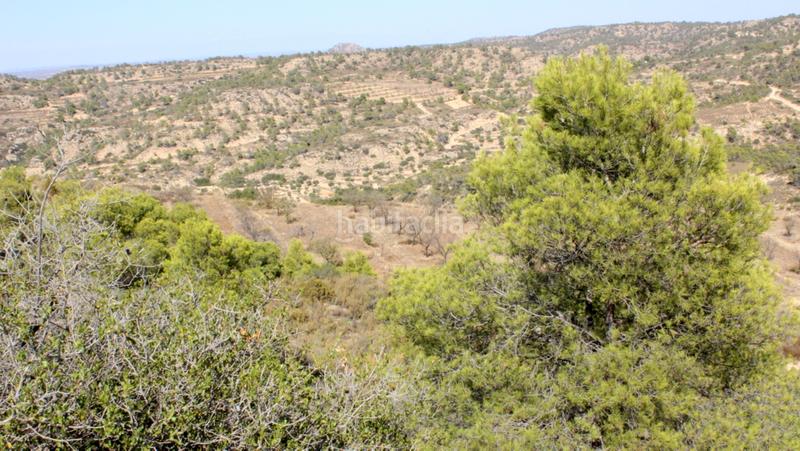 Foto fa3a9a6d-e16f-48be-9cfe-119008a12191. Finca rústica a Maella
