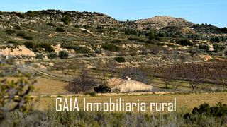 Mas à Maella