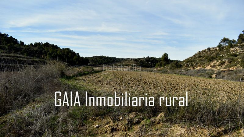 Foto af489067-dc1f-432a-8209-32db3c04333a. Masia a Maella