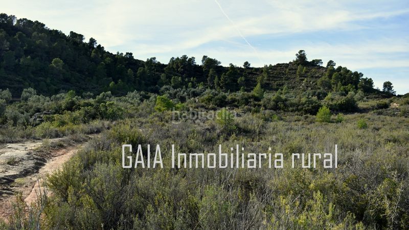 Foto b9841aed-c12c-4cda-95f0-a3a509613f91. Masia a Maella