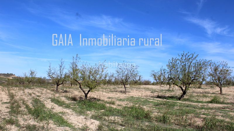 Foto 5c937679-3ca3-49e1-8d6f-a0706cdcbff3. Mas dans Maella