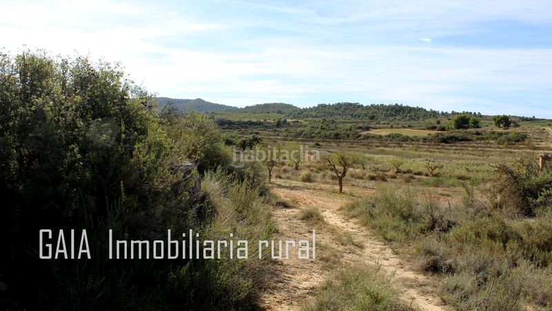 Foto 68fc2d85-5a7d-4f50-af19-a187b5567707. Mas dans Maella