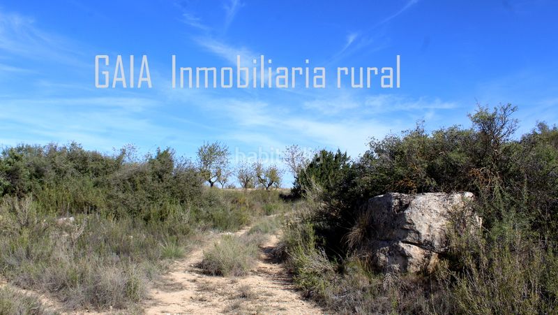 Foto 69cdf741-55fd-4363-8a2e-03fdd8872c02. Mas dans Maella