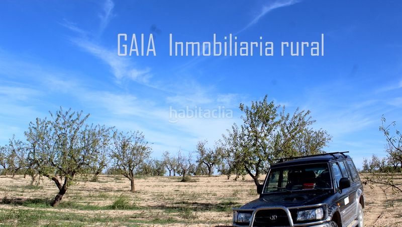 Foto caa46df5-74be-4b81-9fcf-b800eec15889. Mas dans Maella