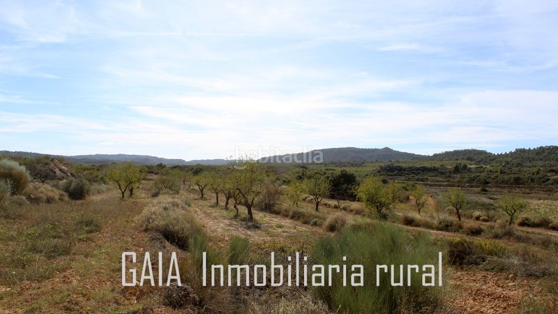 Foto dd0d5b17-bcfe-4ff2-a690-3d9507f2358b. Mas dans Maella