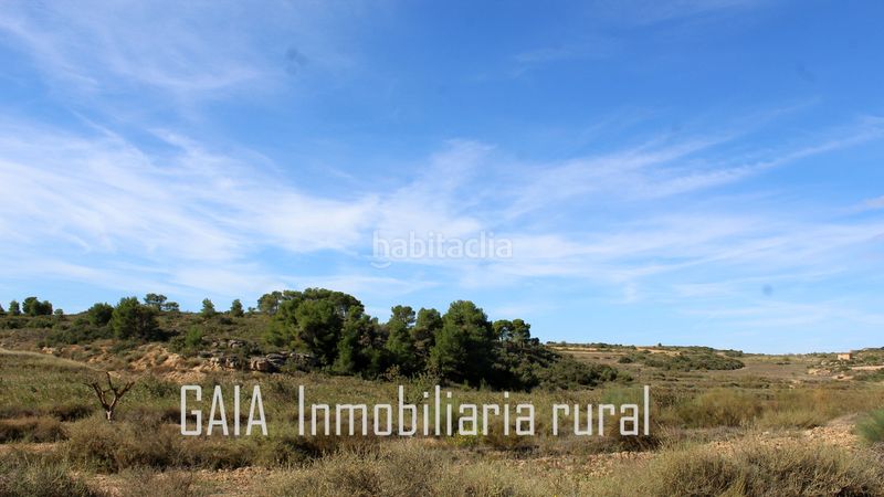 Foto e9b27624-a3e5-48a5-bc66-1cae9383dcd6. Mas dans Maella