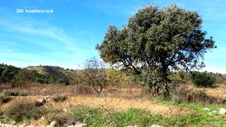 Finca rústica a Nonaspe