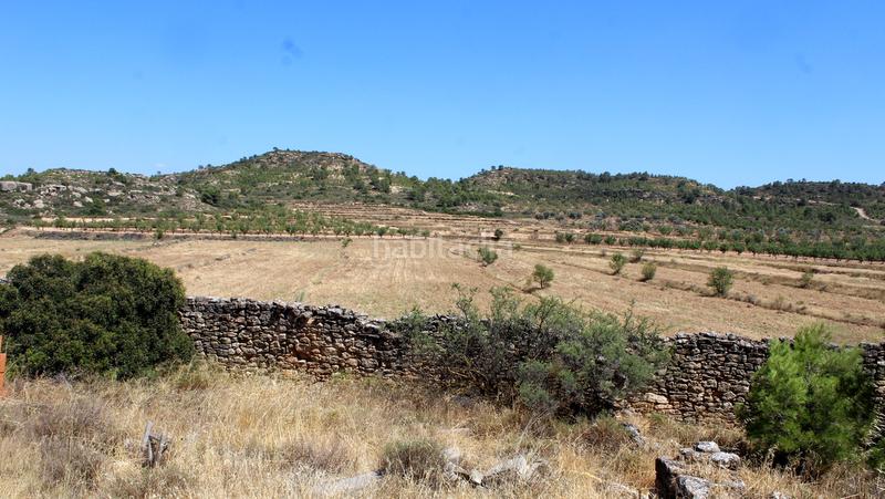 Foto b9dfc363-6938-4587-83e2-fdccd4c0001e. Masía en Maella