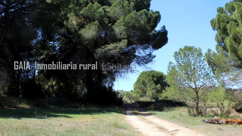 Foto 33121dc7-4f8d-4cc9-b1c6-bc16ee8883d6. Masia a Fabara