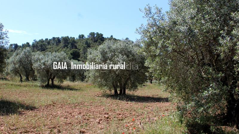 Foto b96660fb-edfc-4514-b9e8-a43f12d376df. Masia a Fabara