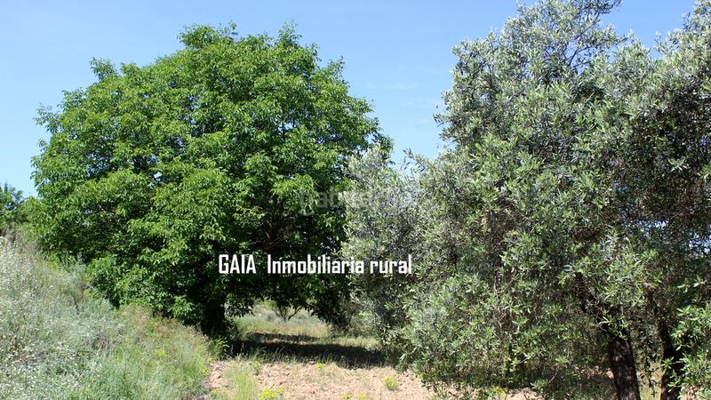 Foto feac36cb-9ba0-4309-a756-c8c02331b4ff. Masia a Fabara