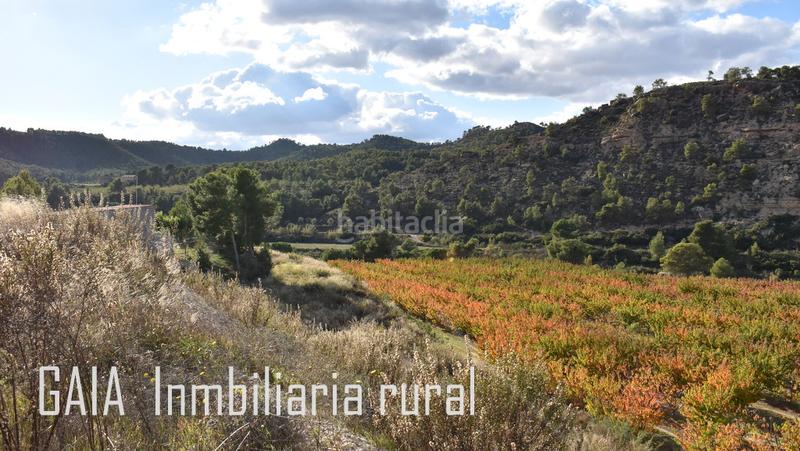 Foto 92c68db8-b95f-4272-a95a-29dd0825e5af. Casale in Batea