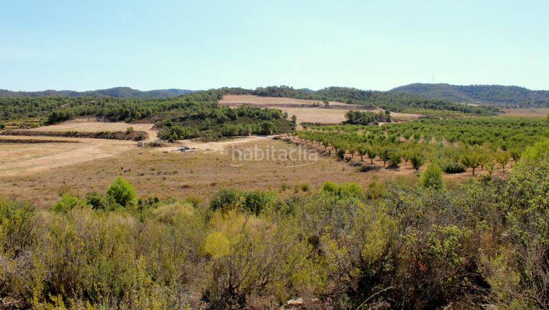 Foto 11ad5321-003d-4905-b5f2-4a00b51592d2. Mas dans Batea