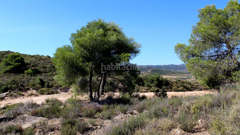 Foto 90c0ac92-e689-48ca-a153-22c80dc63d3a. Mas dans Batea