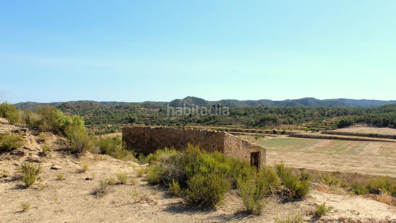 Foto 9f17298f-1b89-4316-b4a3-e6279aebe9f6. Mas dans Batea