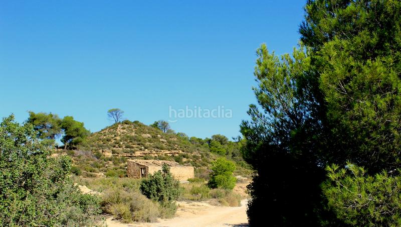 Foto d163ac25-f2ab-4747-aa79-f21720fdc448. Mas dans Batea