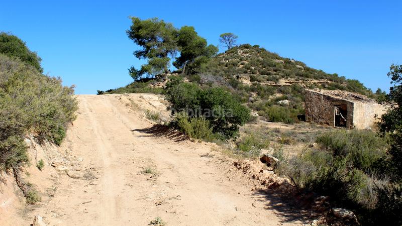 Foto 4e40caec-adc6-4872-8475-90bde6bcf85a. Masia a Batea