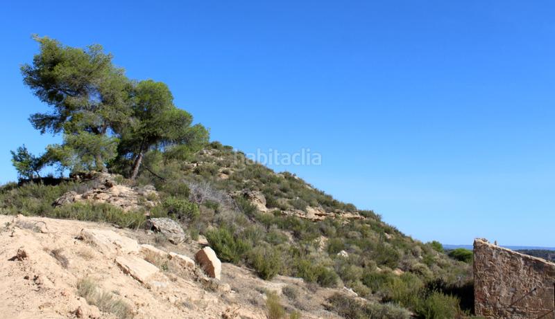 Foto 5985cd8b-0496-46ee-be0d-b9047fcbf172. Masia a Batea