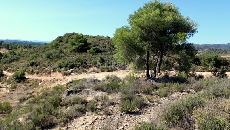 Foto 5d80b54e-ebbc-445f-80c2-6fa3e0545372. Masia a Batea