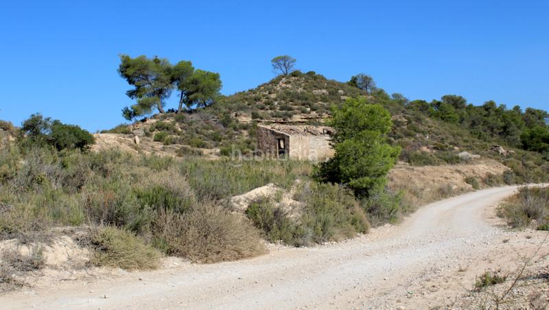Foto c573173f-a980-4947-aea0-f84257ed84b1. Masia a Batea