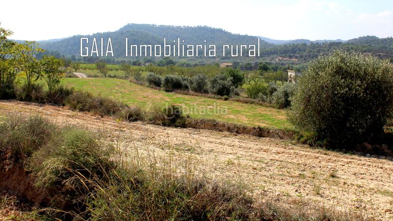 Foto 059c8675-02c8-43eb-801c-8b1e72d87ed7. Masia a Batea