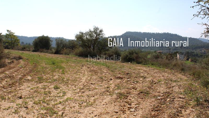 Foto 2ae02ae7-cf7b-4bb0-81c5-8af3def3bd99. Masia a Batea
