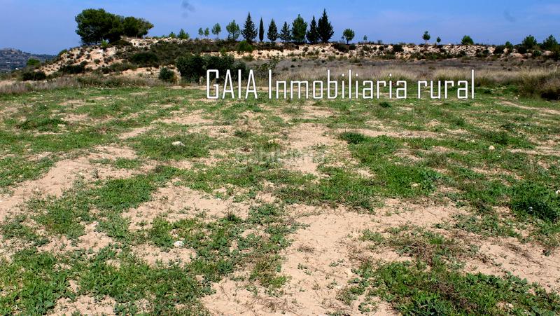 Foto 2b4d5496-a83a-45cd-bddd-6c707d3869a1. Masia a Batea